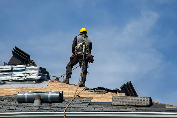 Professional Flat Roof Repair technician working in Cantonment, FL